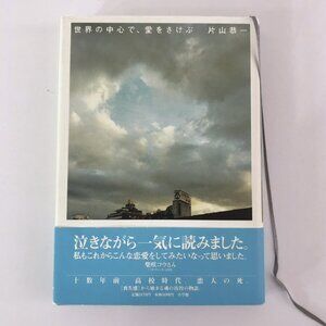 Cry Out Love at the Center of the World Kyoichi Katayama Japanese Book Novel